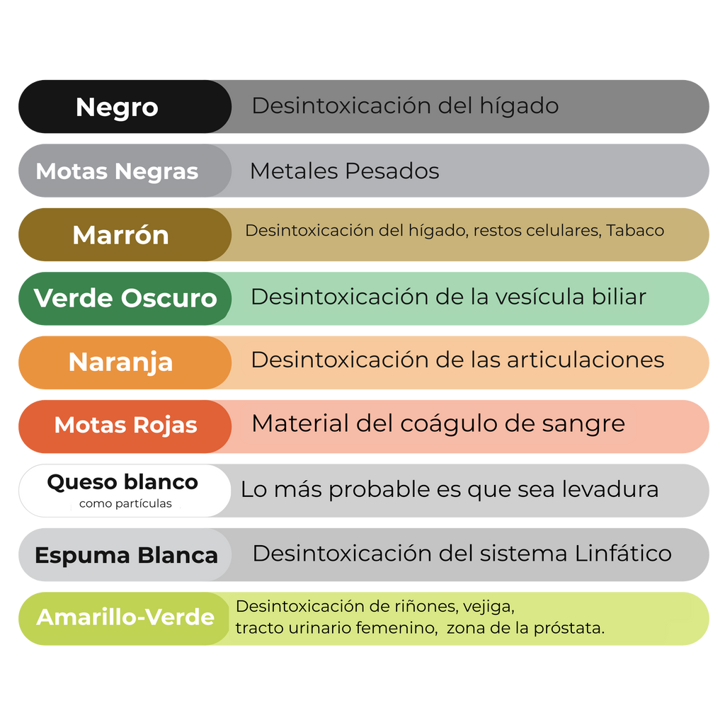 Health Ionic Spa: Foot Spa Iónico Detox en Casa