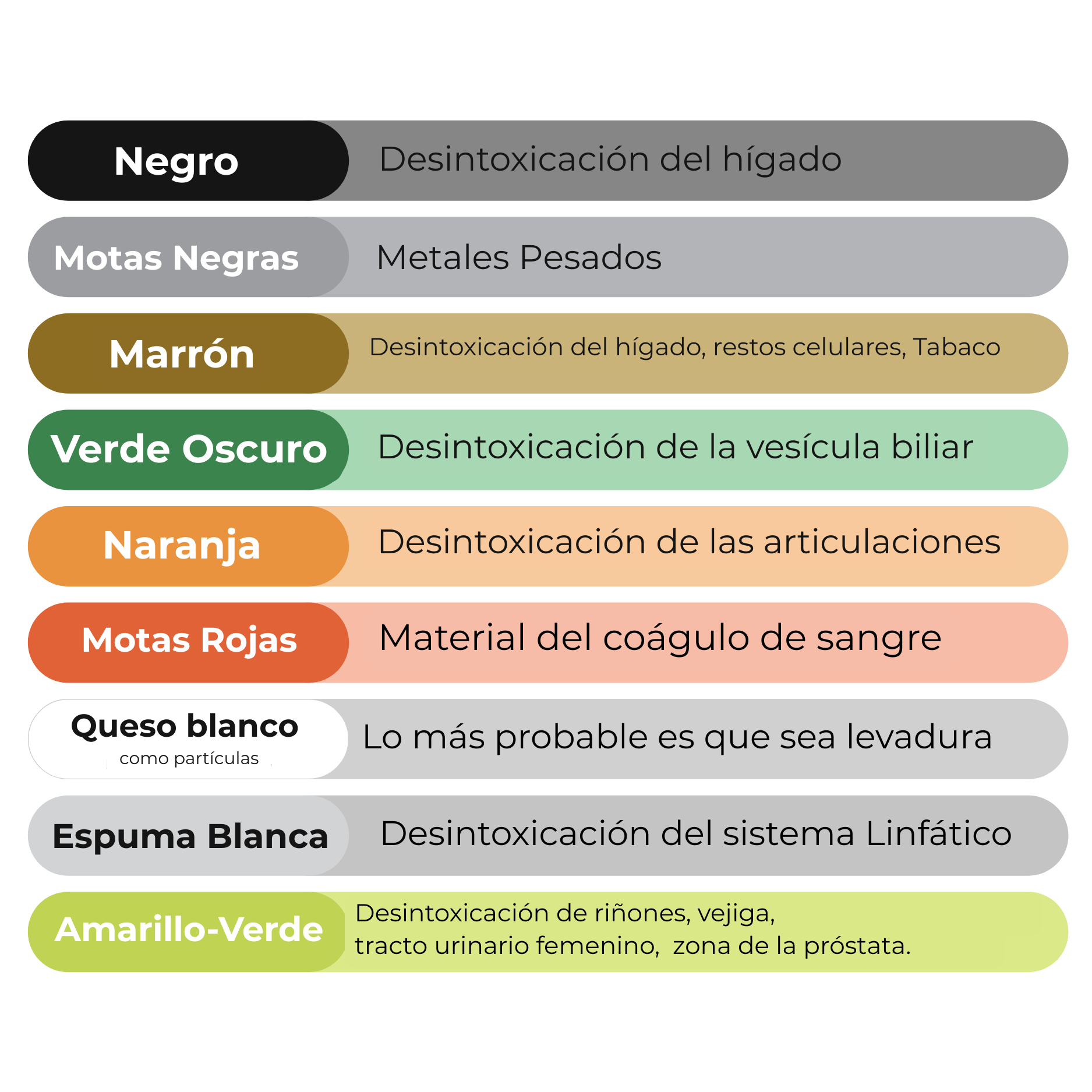 Health Ionic Spa: Foot Spa Iónico Detox en Casa